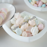 Freeze Dried Coated candy bulk or small package