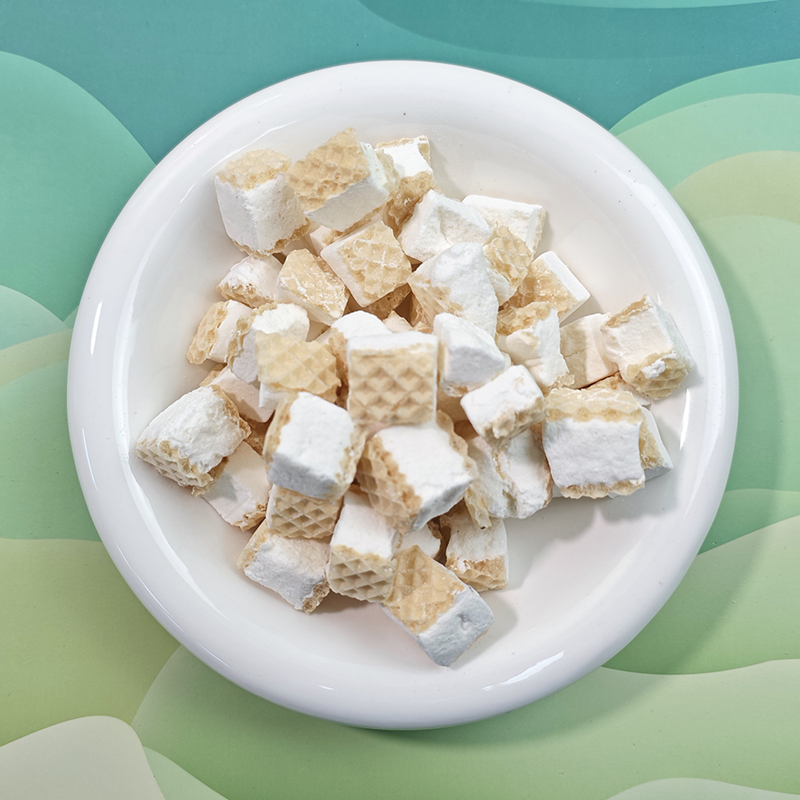 Freeze Dried Wafer Ice Cream Supplier